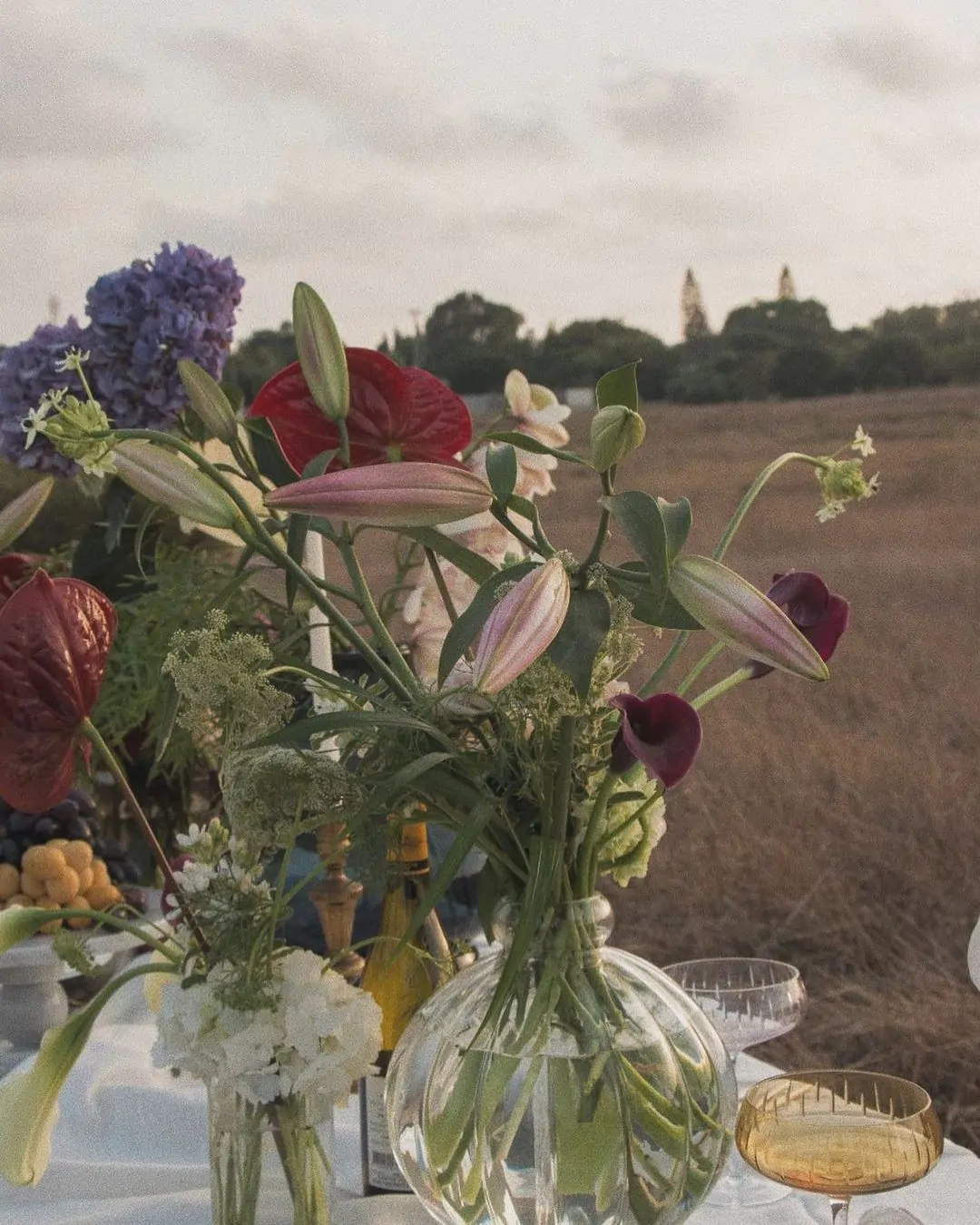 120215712_3464581680287775_8524877858352079533_n