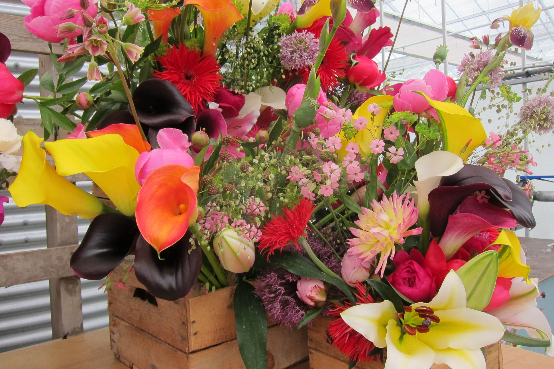 5a1eff_bf84a6dcd25c4e9983e1e74f8140f4da_mv2